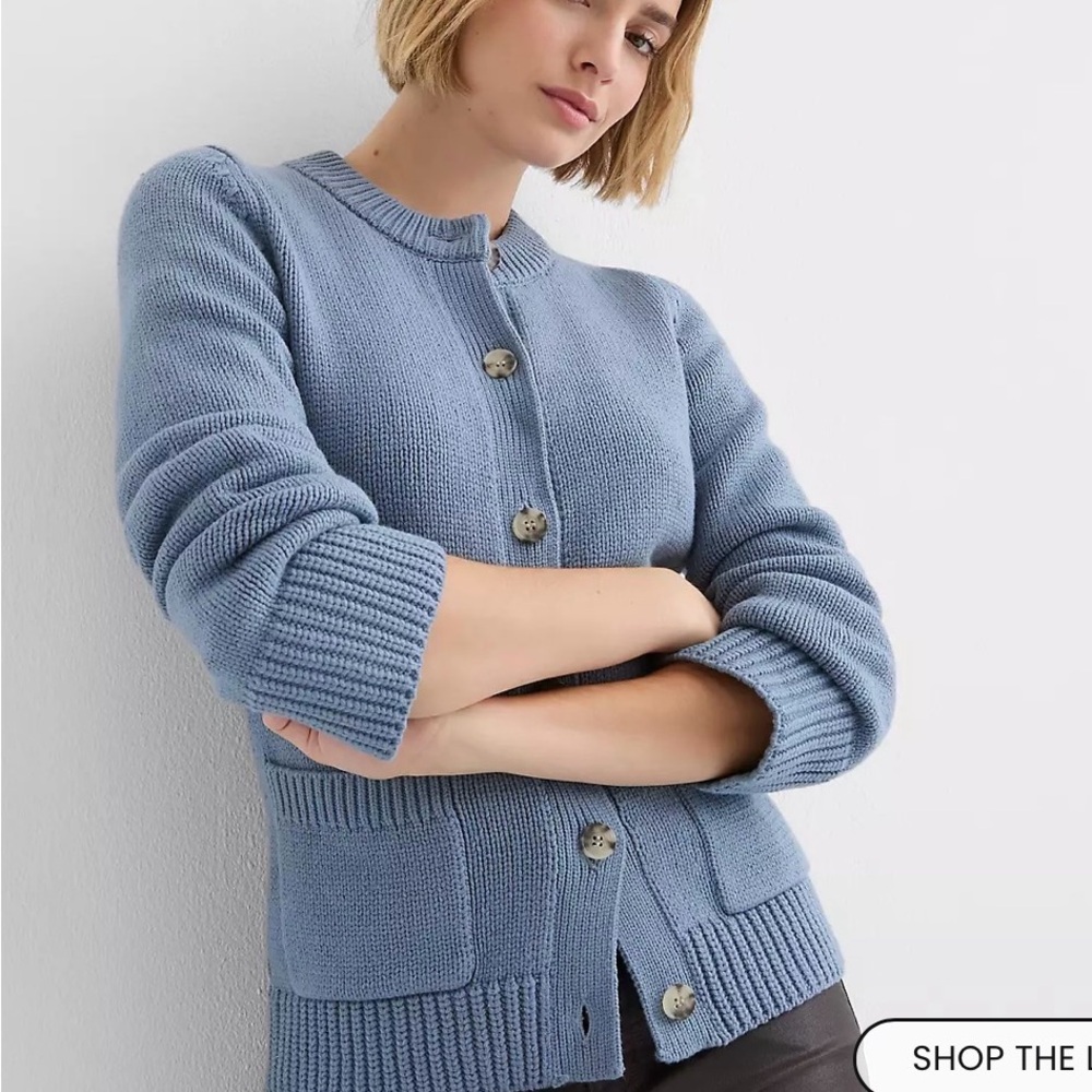 LOFT Blue Button-Up Cardigan